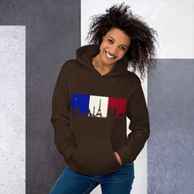 Load image into Gallery viewer, Paris Unisex Hoodie