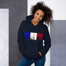 Load image into Gallery viewer, Paris Unisex Hoodie